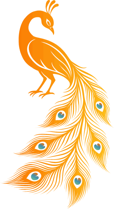 Pfau_3